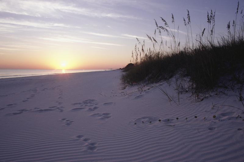 click on image to view pictures taken in Siesta Key & Sarasota