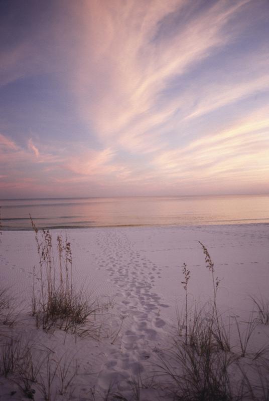 click on image to view pictures taken in and around Venice, Florida