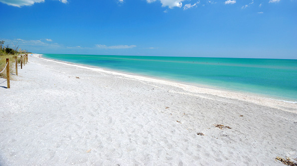 click on image to view more pictures taken in and around Naples, Florida